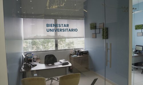 Centro de Apoyo Para los Grupos Minoritarios