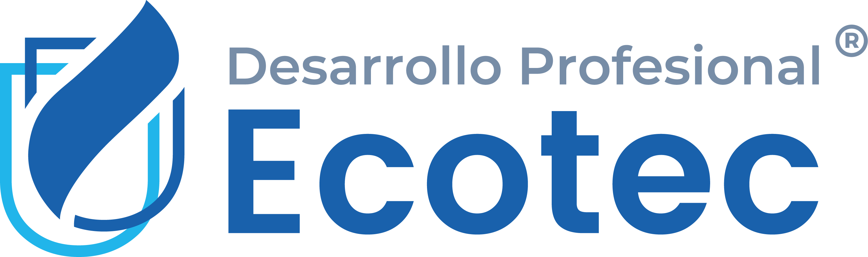 logo_ECOTEC DESARROLLO PROFESIONAL HORIZONTAL color