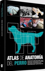 ATLAS DE ANATOMPÍA DEL PERRO