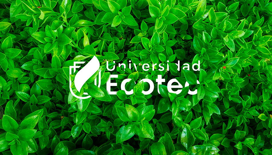 El Carbono Neutro: Un hecho sin precedentes en la educación