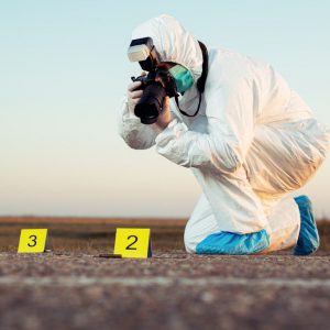 criminalist-1024x683