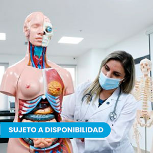 carrera universitaria de medicina en ecuador
